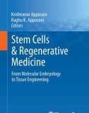 Ebook Stem cells & regenerative medicine: From molecular embryology to tissue engineering