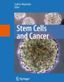 Ebook Stem cells and cancer