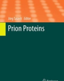 Ebook Prion proteins (Topics in current chemistry, Volume 305)