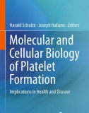 Ebook Molecular and cellular biology of platelet formation: Implications in health and disease