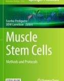 Ebook Muscle stem cells: Methods and protocols