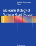 Ebook Molecular biology of valvular heart disease