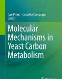 Ebook Molecular mechanisms in yeast carbon metabolism