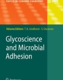 Ebook Glycoscience and microbial adhesion (Topics in current chemistry, Volume 288)