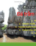 Bài giảng Tinh thể - Khoáng vật – Thạch học - Chương 5: Đá trầm tích