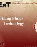 Lecture Drilling engineering: Drilling fluids technology