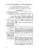 Ứng dụng phương pháp dạy học dự án trong giảng dạy môn giao thoa văn hóa cho sinh viên năm thứ ba ngành Ngôn ngữ Anh Trường Đại học Kinh tế - Kỹ thuật Công nghiệp