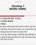 Bài giảng Kinh doanh nhà hàng: Chương 7 - Rượu vang