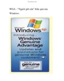 WGA - 'Người giữ cửa' hiệu quả của Windows