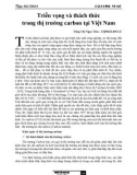 Triển vọng và thách thức trong thị trường carbon tại Việt Nam