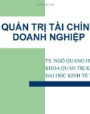 Bài giảng Quản trị tài chính doanh nghiệp: Chương 1 - Ts.Ngô Quang Hưng