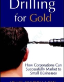 Ebook Drilling for gold - How corporations can successfully market to small businesses