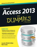 Ebook Microsoft Access 2013 for dummies