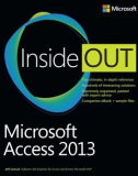 Ebook Access 2013 inside out