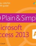 Ebook Access 2013 plain and simple