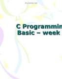 Lecture C programming basic: Week 3