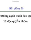 Bài giảng Kinh tế học vi mô dành cho chính sách công: Bài 20 - Thị trường cạnh tranh độc quyền và độc quyền nhóm (2021)