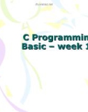 Lecture C programming basic: Week 10