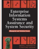 Ebook Enterprise information systems assurance & system security: Managerial & technical issues