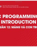 Bài giảng C Programming introduction: Tuần 12 - Mảng và con trỏ