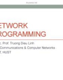 Lecture Network programming: Chapter 1 - Truong Dieu Linh