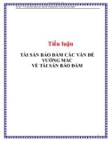 Tiểu luận: Tài sản bảo đảm các vấn đề vướng mắc về tài sản bảo đảm