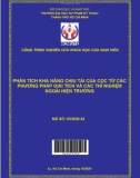 Đề tài nghiên cứu khoa học: Phân tích khả năng chịu tải của cọc từ các phương pháp giải tích và các thí nghiệm ngoài hiện trường