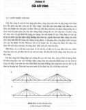 Đường ô tô và cầu bêtông cốt thép: Tập 2 - Phần 2 (Năm 2006)