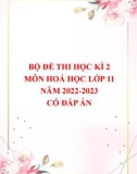 Bộ đề thi học kì 2 môn Hoá học lớp 11 năm 2022-2023 có đáp án