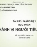 Bài giảng Hành vi người tiêu dùng - PGS.TS. Vũ Huy Thông