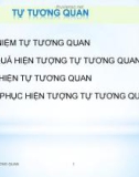 Bài giảng môn Kinh tế lượng: Chương 6 - Tự tương quan