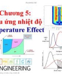 Bài giảng Kỹ thuật phản ứng: Chương 5 - Vũ Bá Minh