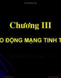 Bài giảng Vật lý chất rắn: Chương 3 - TS. Lê Văn Thăng