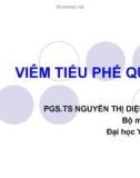 Bài giảng Viêm tiểu phế quản - PGS.TS. Nguyễn Thị Diệu Thúy