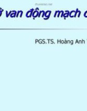 Bài giảng Hở van động mạch chủ - PGS.TS. Hoàng Anh Tiến