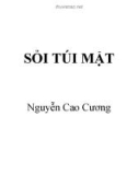 Bài giảng Sỏi túi mật - Nguyễn Cao Cương