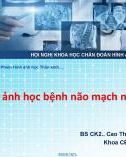 Báo cáo: Hình ảnh học bệnh não mạch máu nhỏ