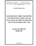 Luận án Tiến sĩ Kinh tế: Giải pháp phát triển thị trường sản phẩm năng lượng tái tạo vùng trung du miền núi phía Bắc Việt Nam giai đoạn 2020-2030