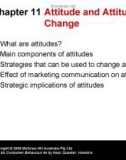 Lecture Consumer behaviour (4e): Chapter 11 - Neal, Quester, Hawkins