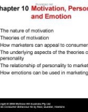 Lecture Consumer behaviour (4e): Chapter 10 - Neal, Quester, Hawkins