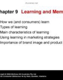 Lecture Consumer behaviour (4e): Chapter 9 - Neal, Quester, Hawkins