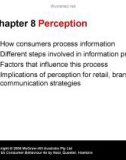 Lecture Consumer behaviour (4e): Chapter 8 - Neal, Quester, Hawkins