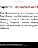 Lecture Consumer behaviour (4e): Chapter 18 - Neal, Quester, Hawkins