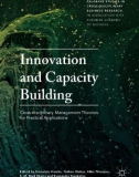 Ebook Innovation and capacity building: Cross-disciplinary management theories for practical applications