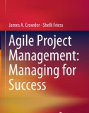 Ebook Agile project management: Managing for success