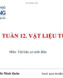 Bài giảng Vật liệu cơ sinh điện: Tuần 12 - Ths. Tăng Hà Minh Quân