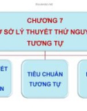 Bài giảng Kỹ thuật thuỷ khí: Chương 7 - TS. Ngô Văn Hệ