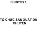 Bài giảng Tổ chức sản xuất cơ khí: Chương 5 - TS. Nguyễn Văn Tình