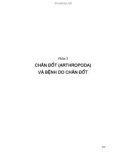 Giáo trình Ký sinh trùng thú y: Phần 2 - TS. Võ Thị Hải Lê