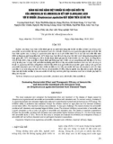 Đánh giá khả năng diệt khuẩn và hiệu quả điều trị của amoxicillin và amoxicillin kết hợp clavulanic acid với vi khuẩn Streptococcus agalactiae gây bệnh trên cá rô phi